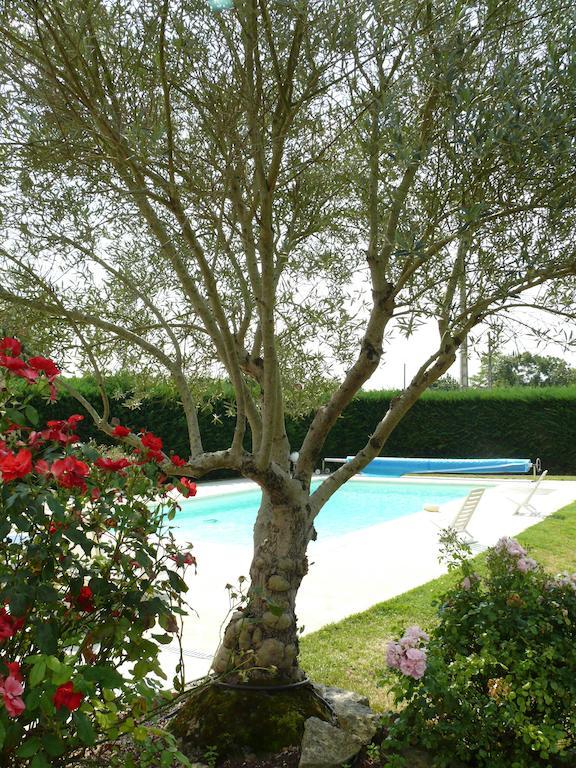 Vila Gite Du Clos De La Vigne Montreuil  Exteriér fotografie